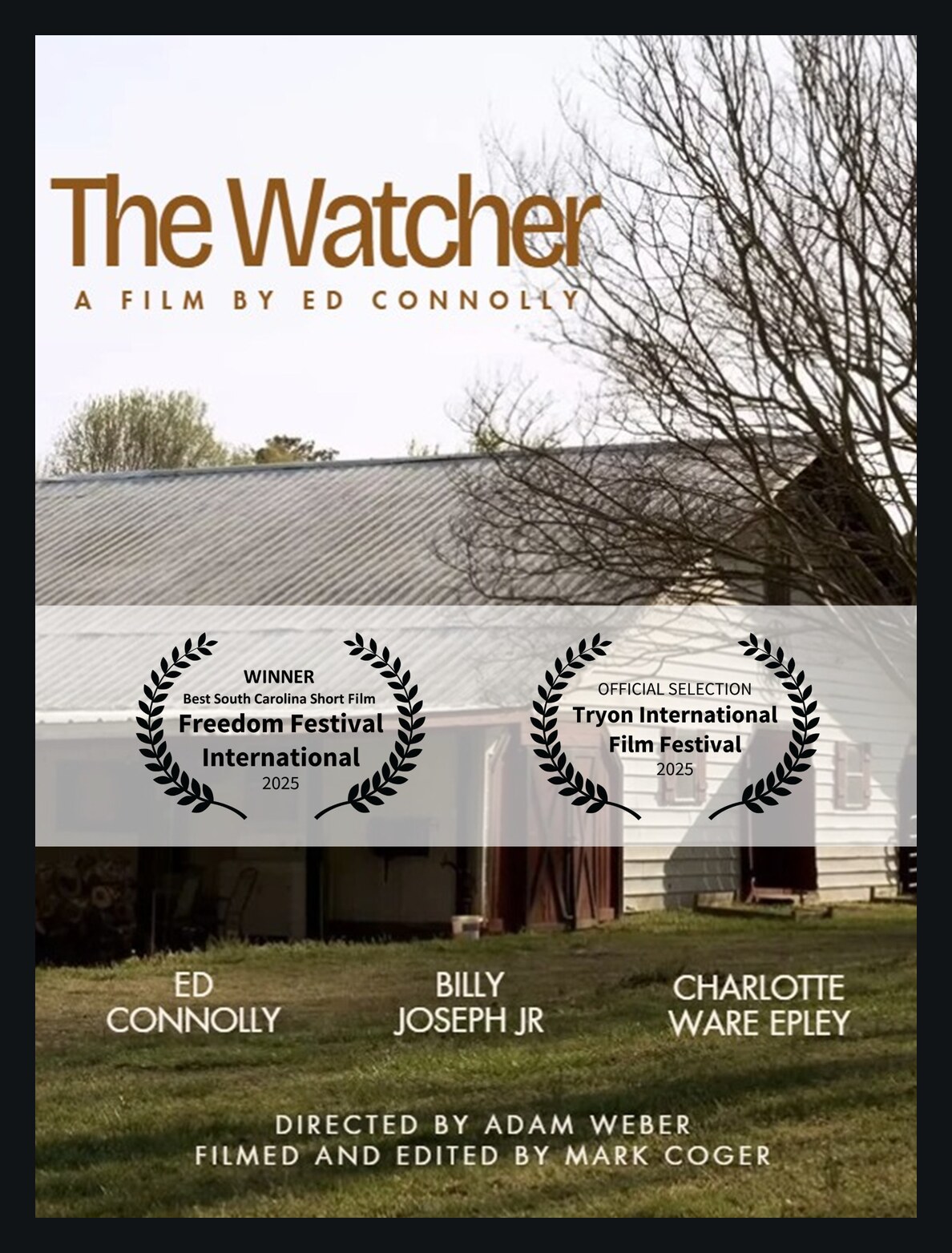 The Watcher film poster